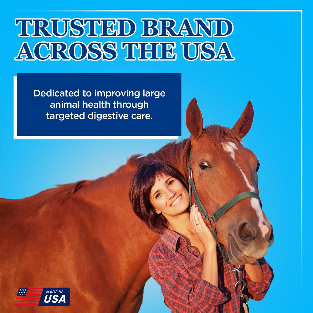 Cheval utilisant Equerry's Probiotiques, maintien de l'appétit et équilibre digestif.