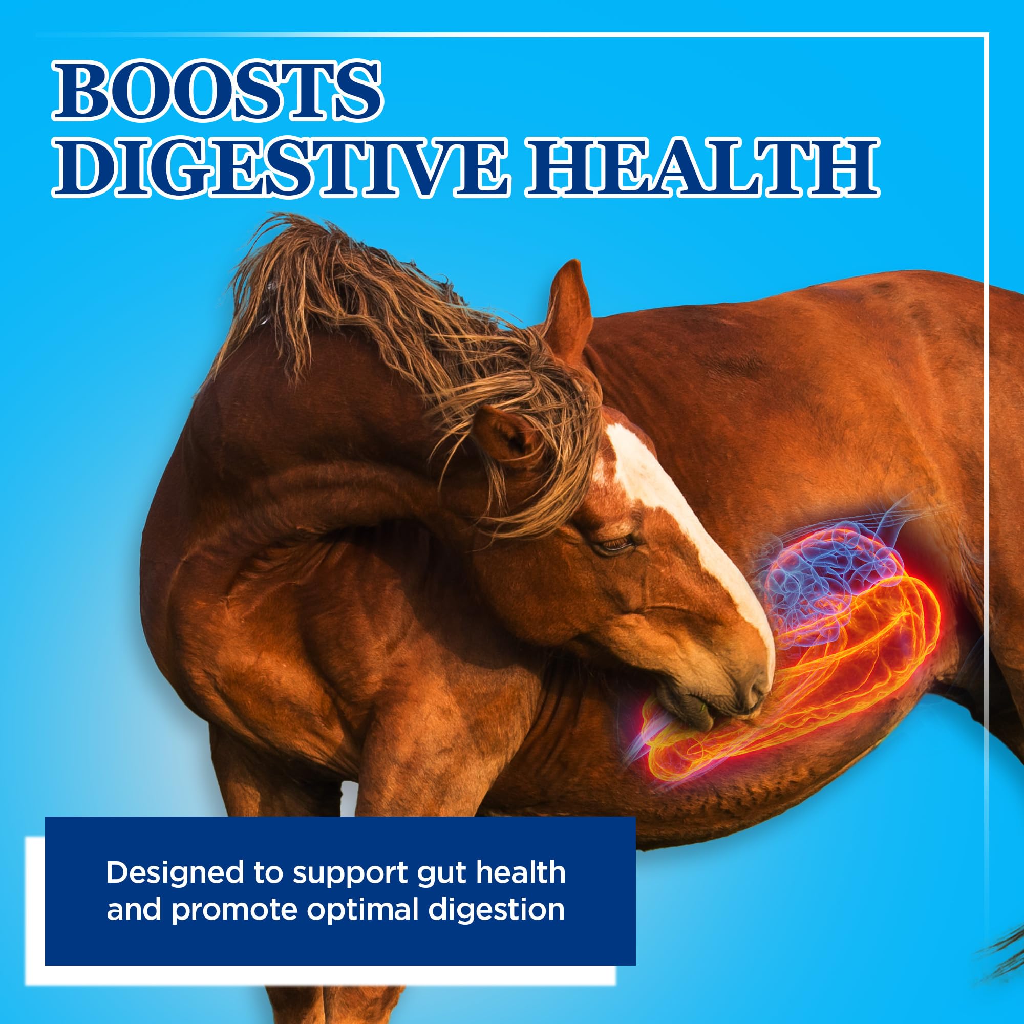 Sac dosage Equerry's Probiotiques pour gros animaux, dosage facile.