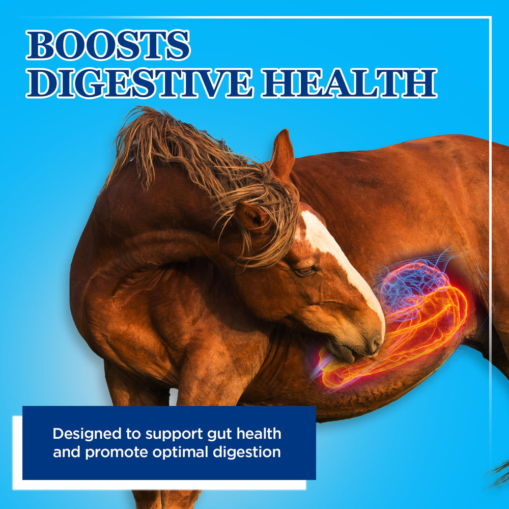 Sac dosage Equerry's Probiotiques pour gros animaux, dosage facile.