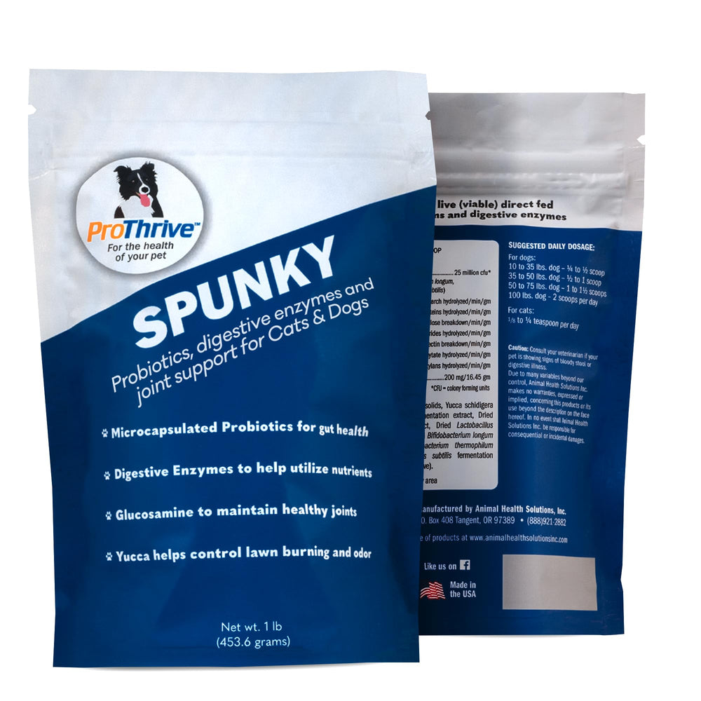 Equerry's Spunky – bouteille du supplément, soutien potentiel à la digestion des chiens et chats.