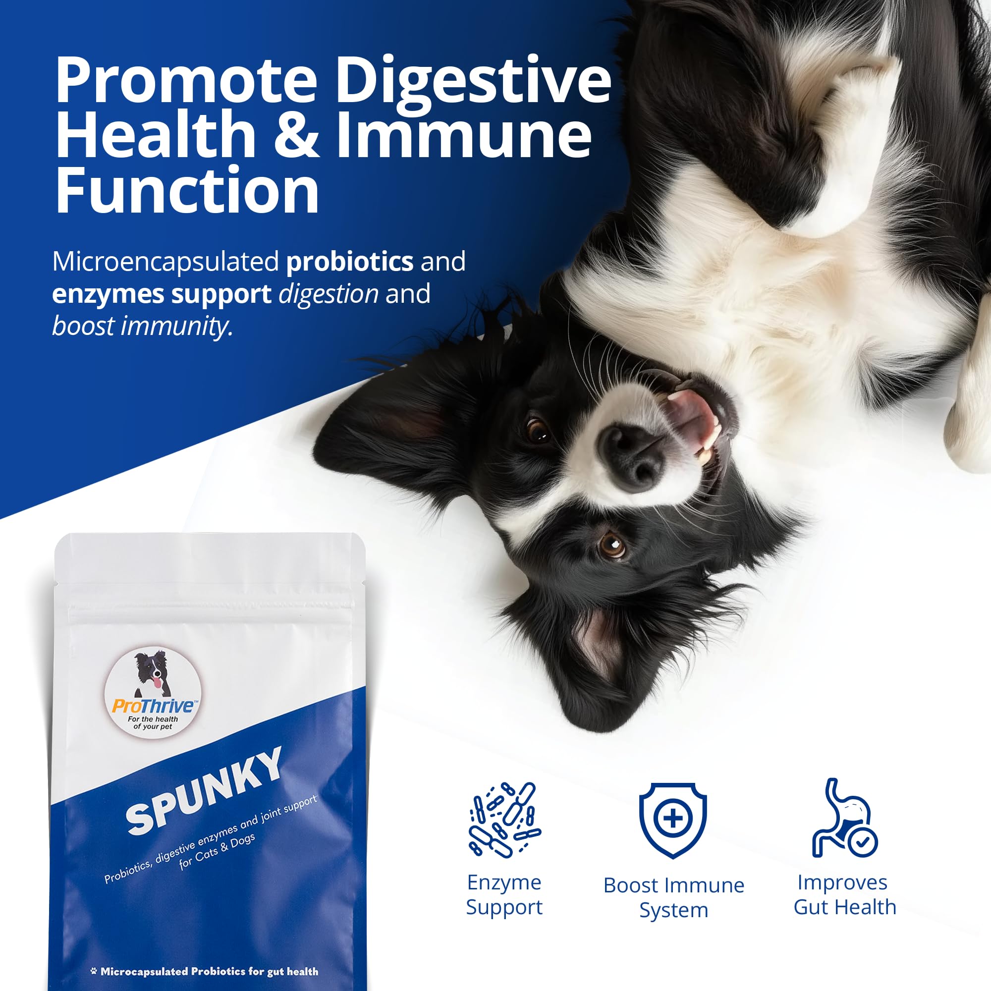 Equerry's Spunky – étiquette, aide potentielle à l'absorption des nutriments.