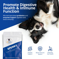 Equerry's Spunky – étiquette, aide potentielle à l'absorption des nutriments.