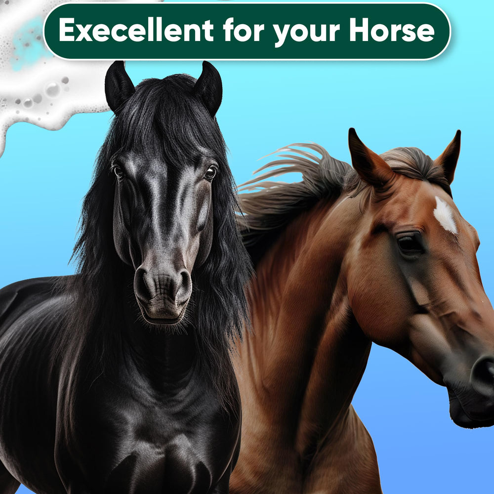 Formulation chloroxylenol d'EQUI-SPAZ Saratoga, action antifongique ciblée sur le pelage.