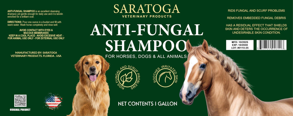 Routine régulière avec Saratoga EQUI-SPAZ, entretien pérenne du pelage du cheval.