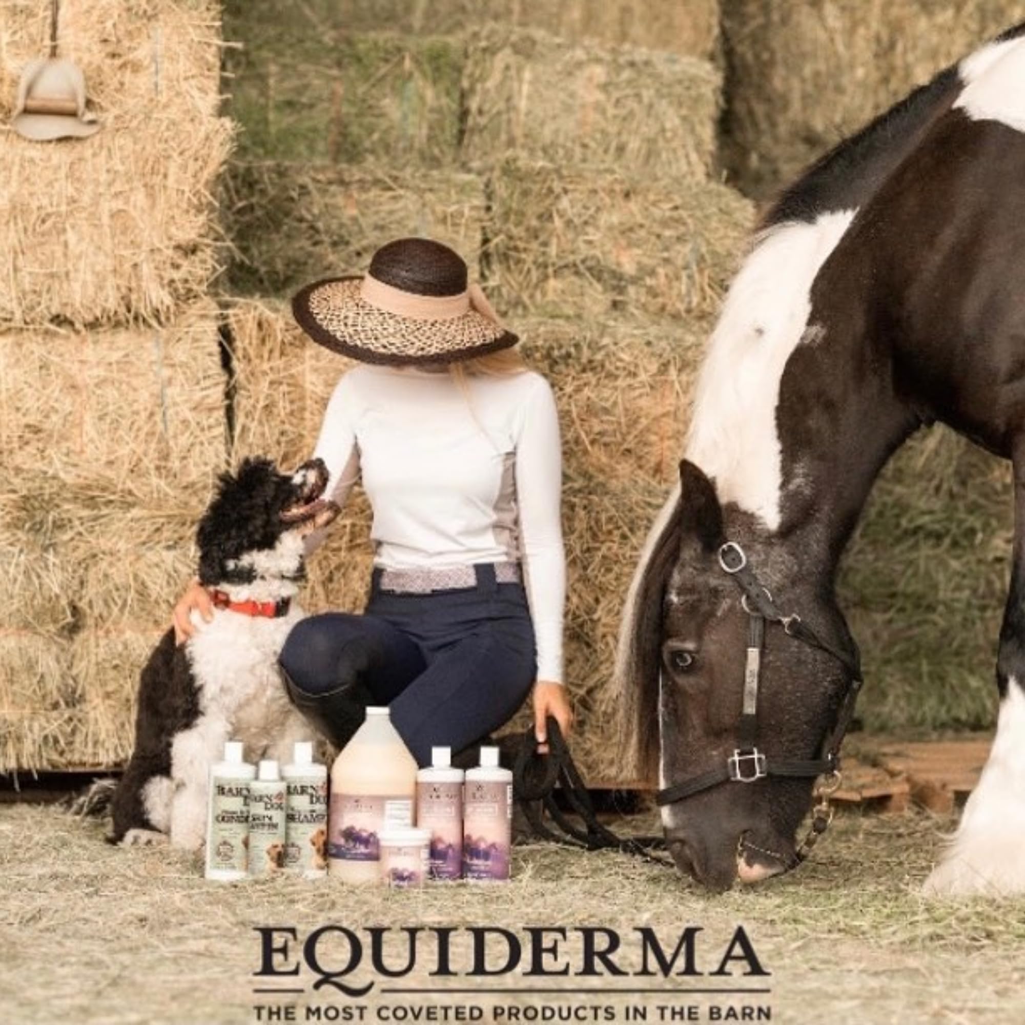 Pack EQUIDERMA 2 pièces avec lingettes Pet Faves.
