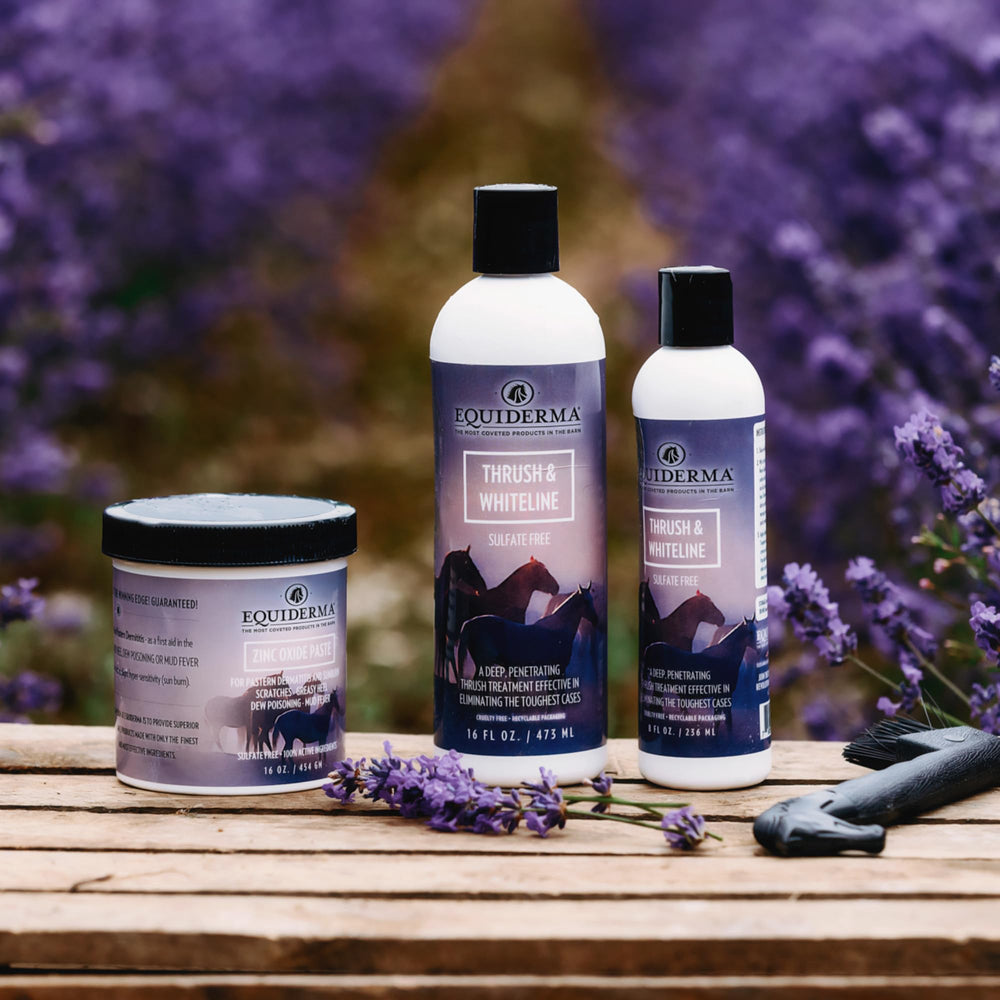 EQUIDERMA Protection UV et humidité sur paturon.