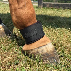 Fermeture velcro robuste du PasternWrap ÉquiFit noir pour un ajustement rapide.
