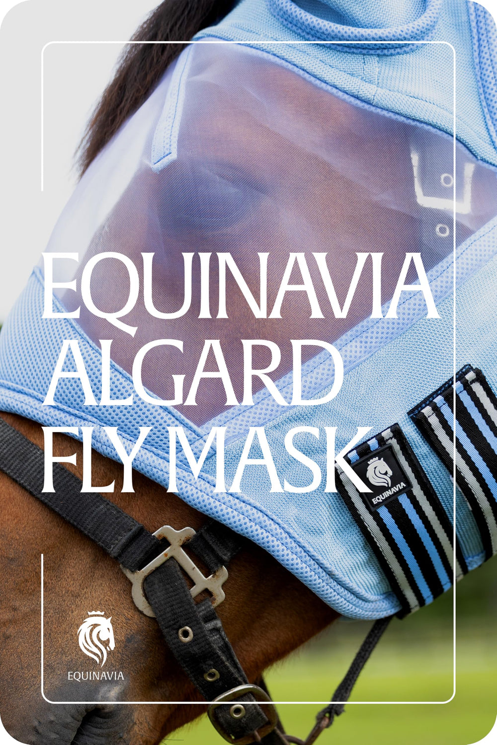 Bleu clair d Equinavia pour cheval de grande taille.