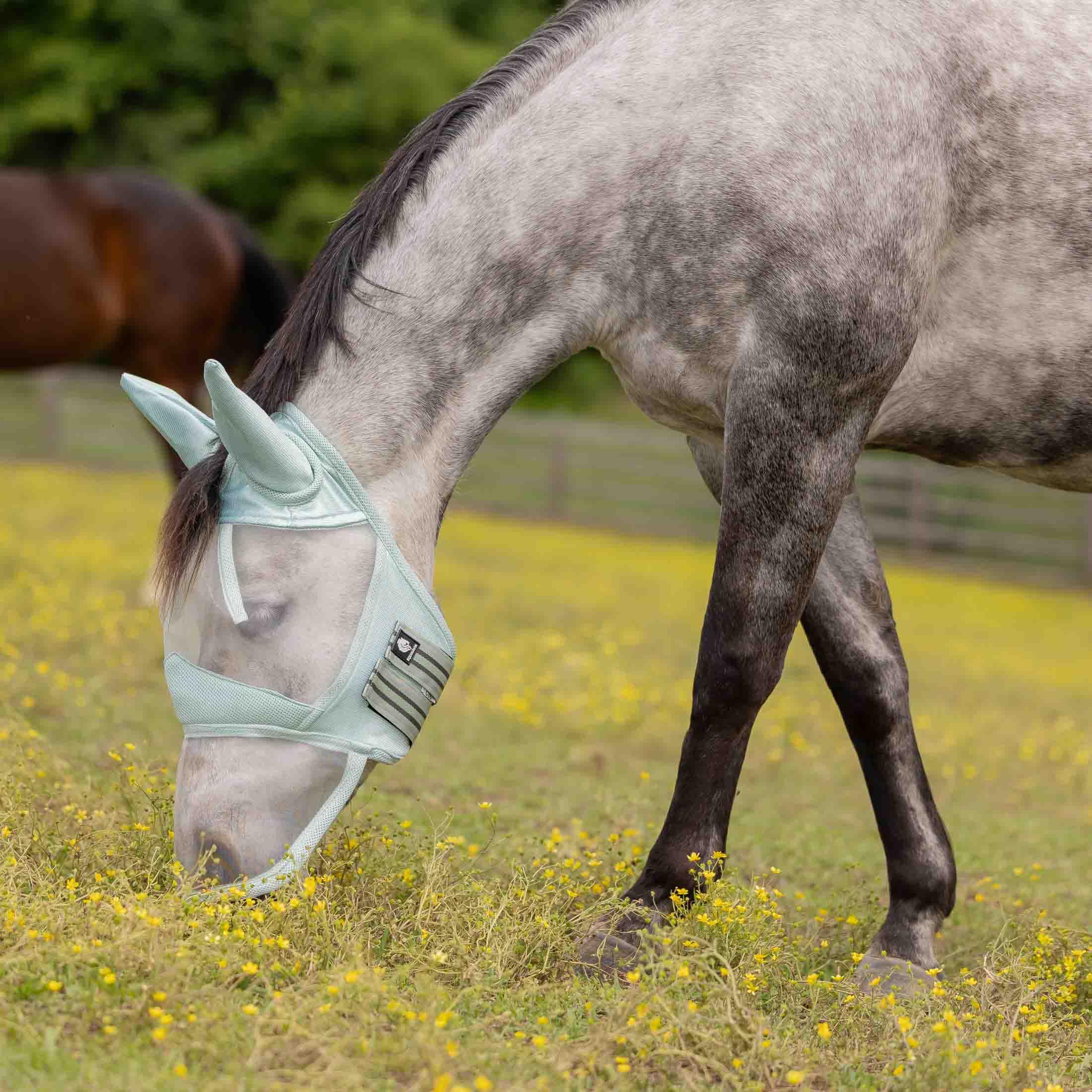 Equinavia Algard masque-anti-mouches maille-long-nez Misty Jade protège les yeux et ventile.