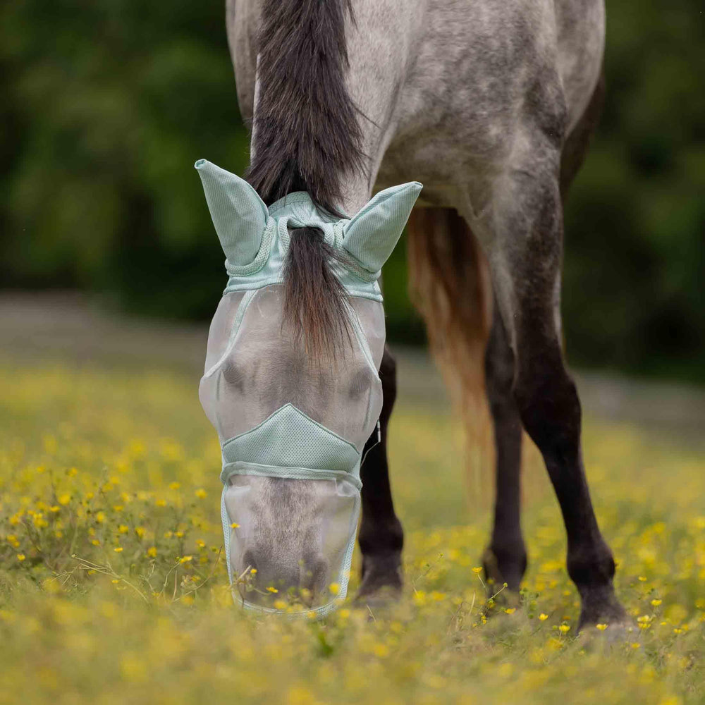 Masque Equinavia Algard fermetures velcro réglables pour ajustement sécurisé