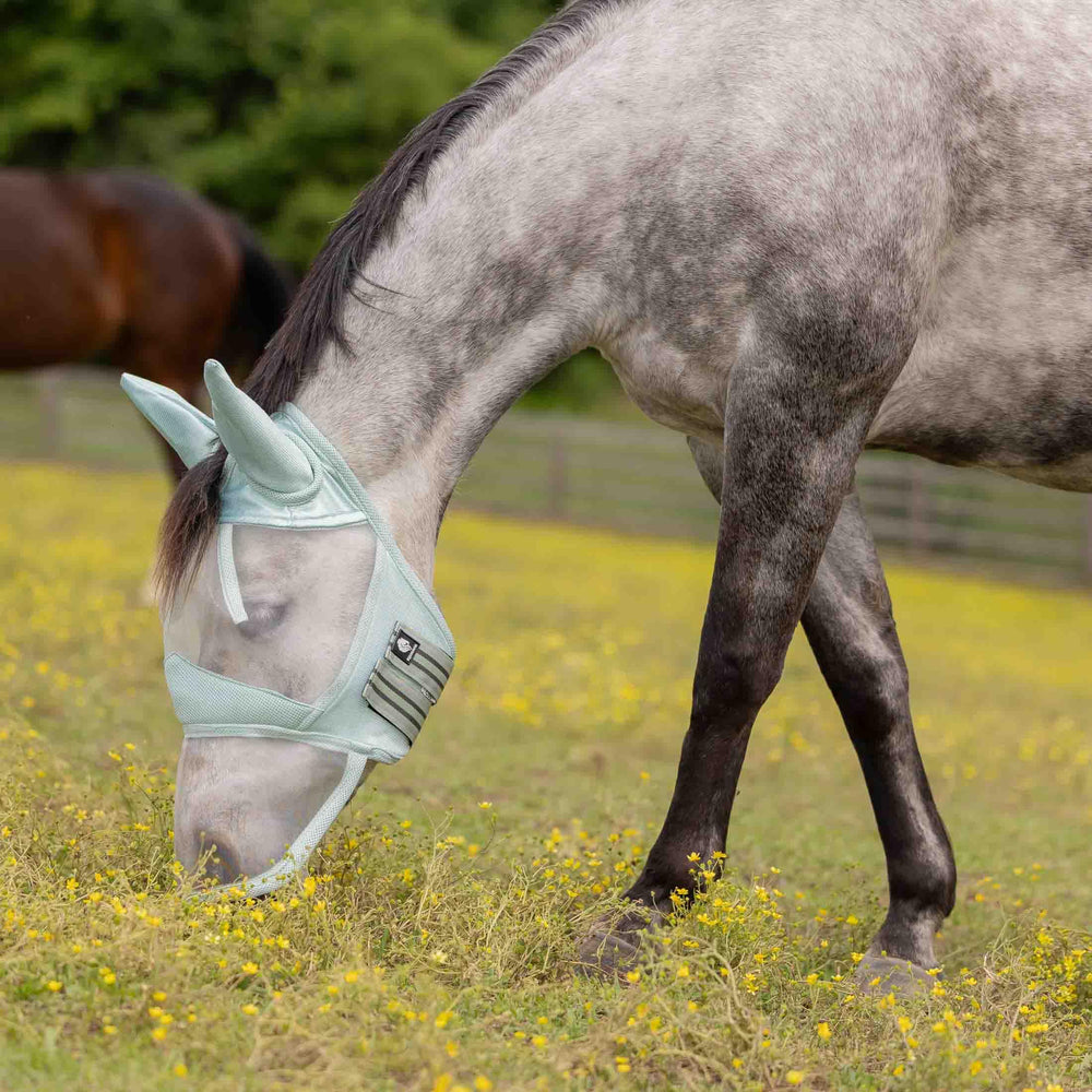 Masque Algard Equinavia à nez long et maille douce confort durable