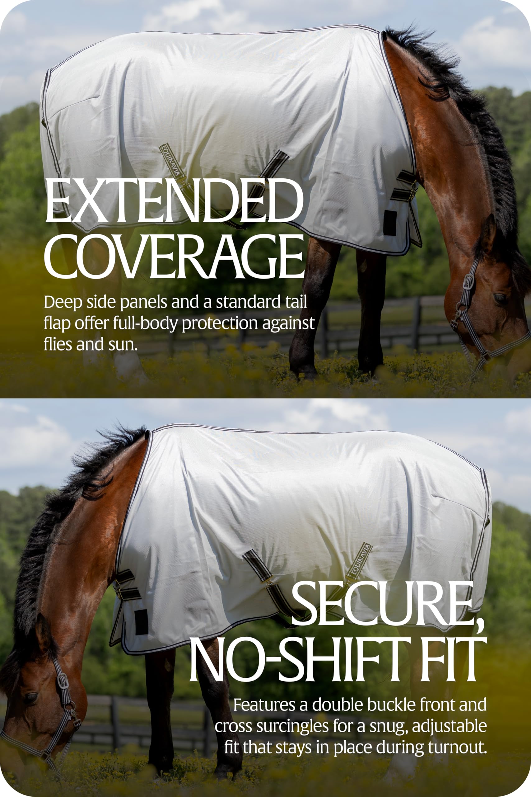 Equinavia Gard sangles croisées ajustables pour stabilité en mouvement