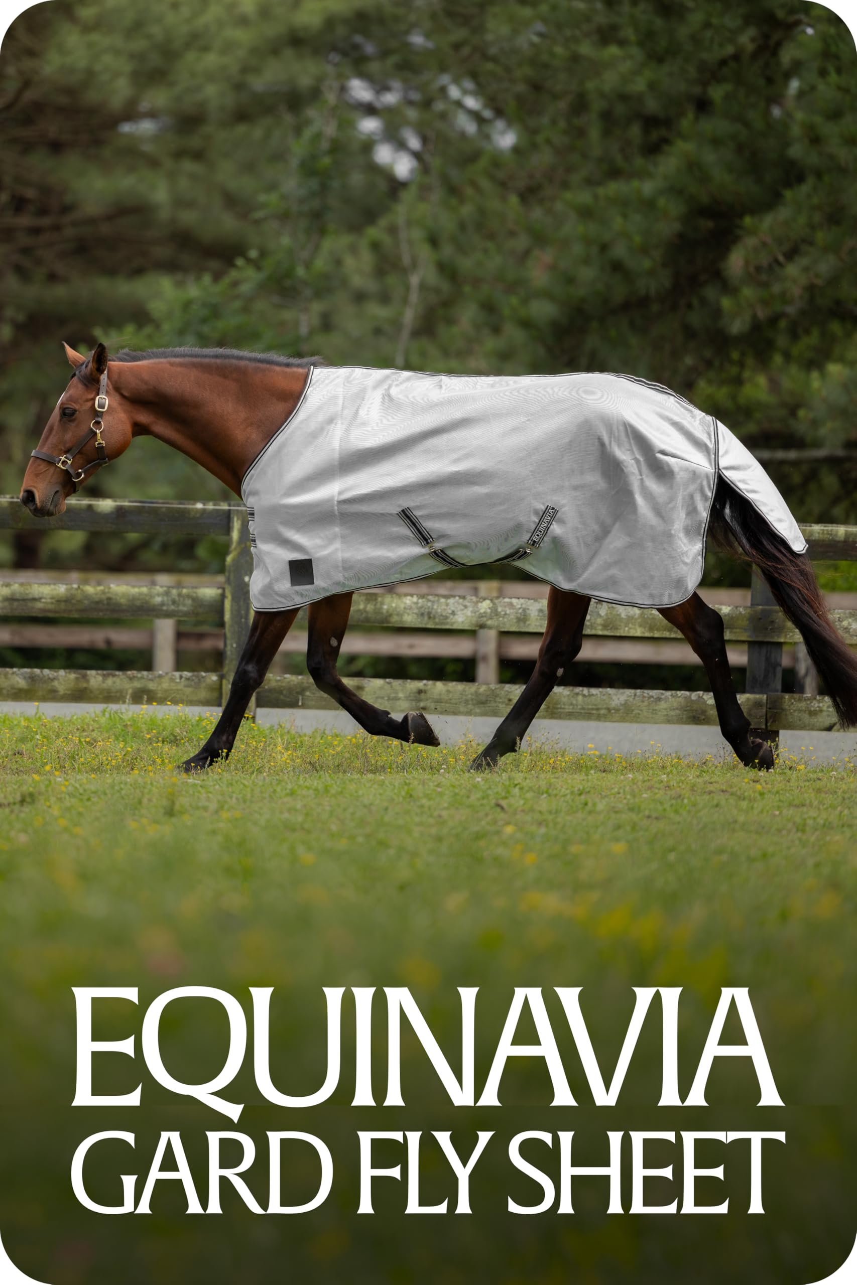 Equinavia Gard, taille 84 pouces pour chevaux adultes