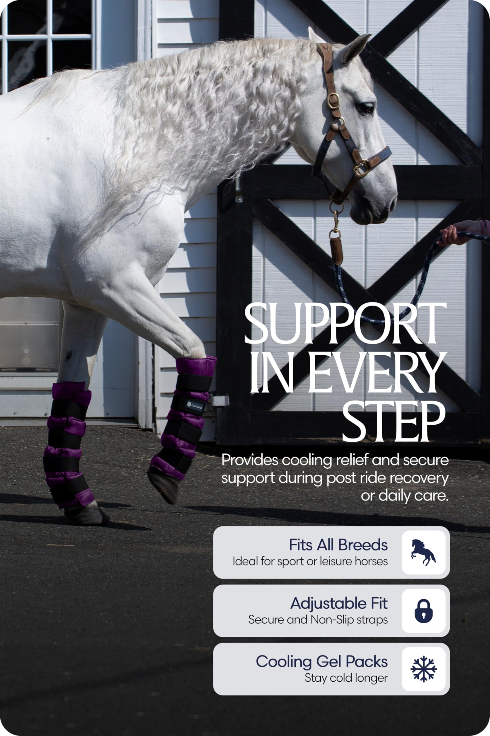 Utilisation polyvalente Equinavia – appliquée sur différentes zones pour une récupération ciblée.