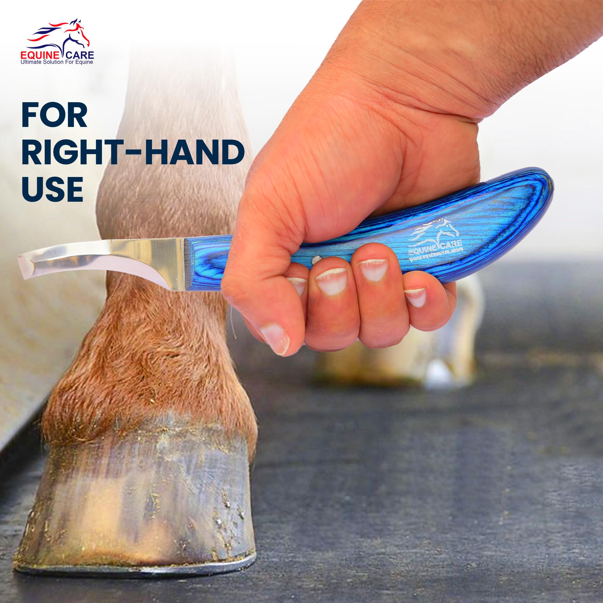 Equine Care couteau sabot double-tranchant pour chevaux et bovins