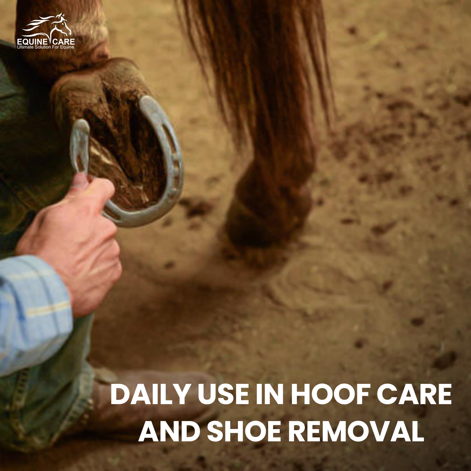 Outil Equine Care utilisé pour les soins quotidiens des chevaux.