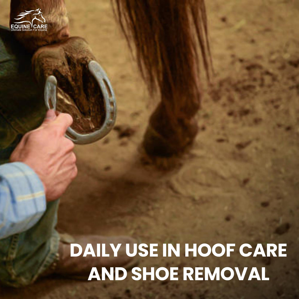 Outil Equine Care utilisé pour les soins quotidiens des chevaux.