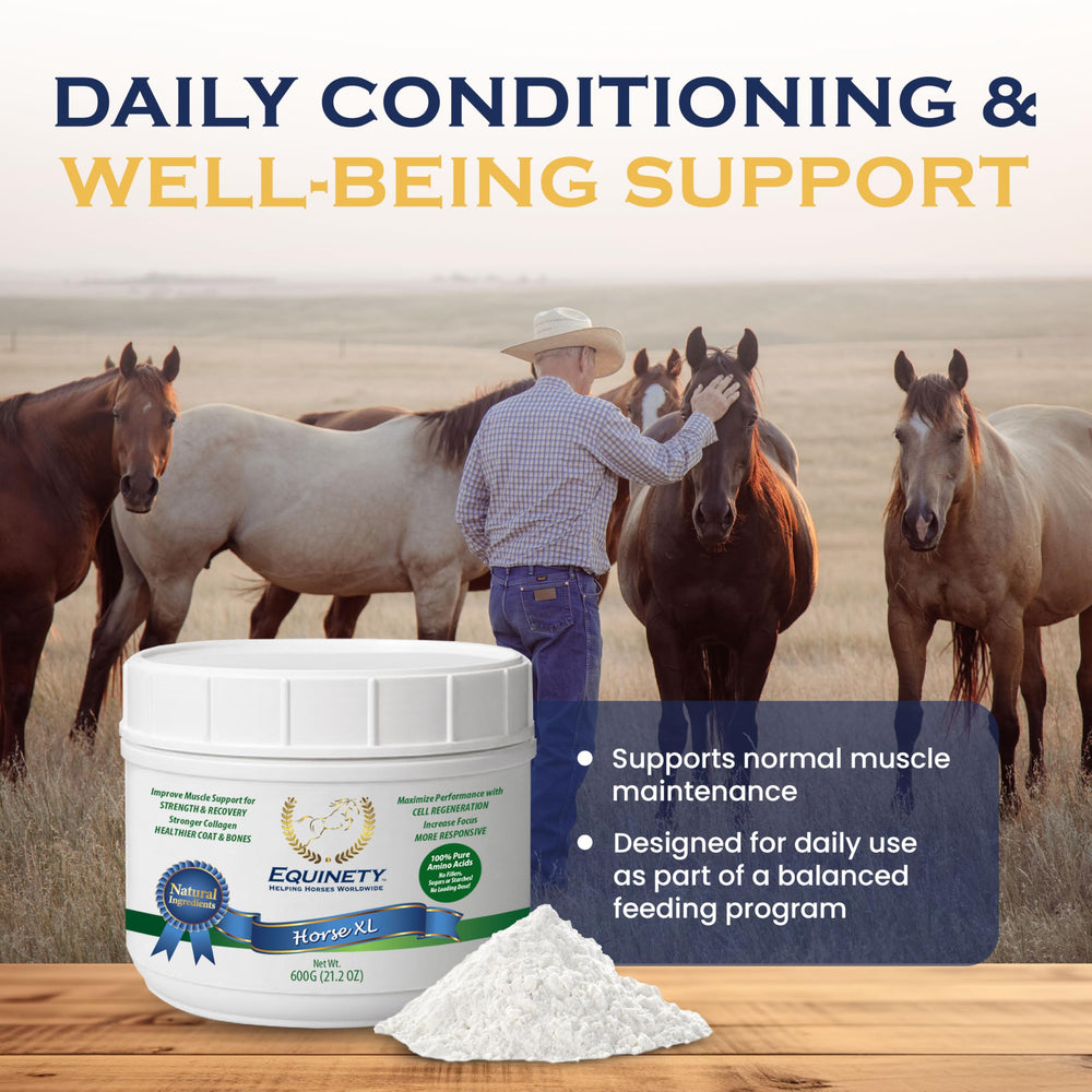 Equinety Horse XL protège le pelage et soutient la masse musculaire.