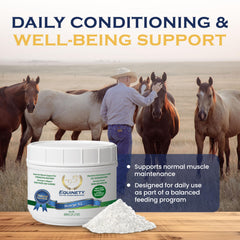 Equinety Horse XL protège le pelage et soutient la masse musculaire.