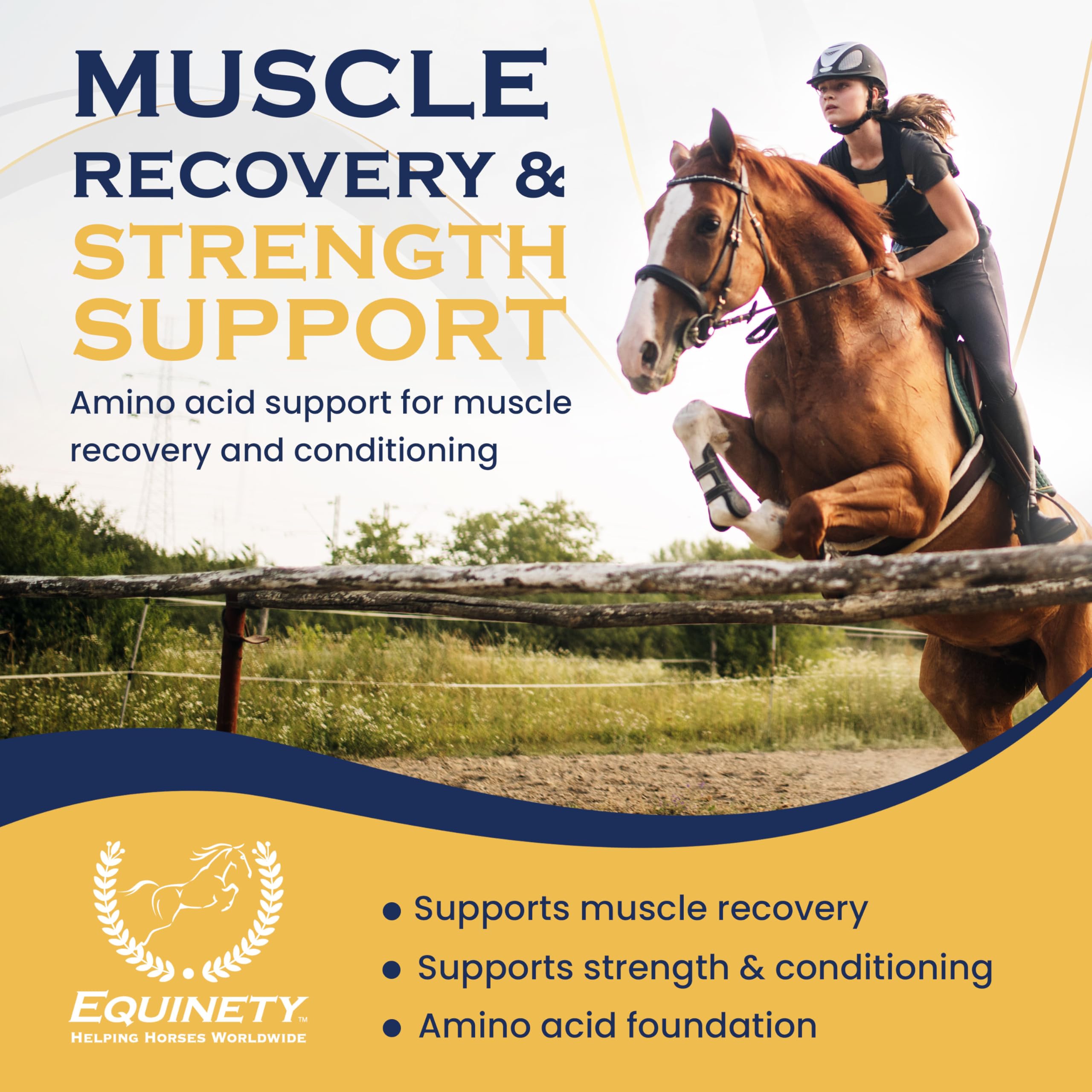 Equinety Horse XL aide à la prise de poids et au développement musculaire.