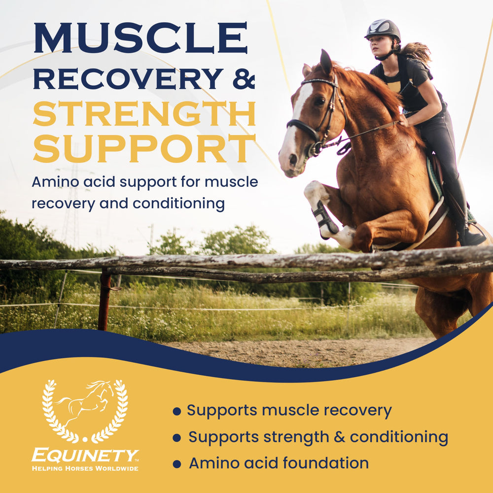 Equinety Horse XL aide à la prise de poids et au développement musculaire.