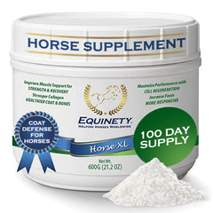 Equinety Horse XL favorise la réparation cellulaire grâce aux acides aminés essentiels.