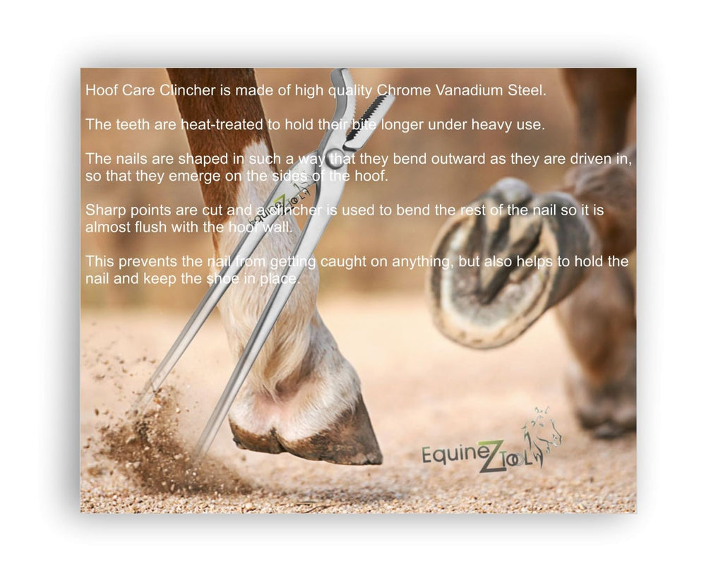 Poignee antiderapante Equinez Tools – manipulation confortable lors des soins des sabots.