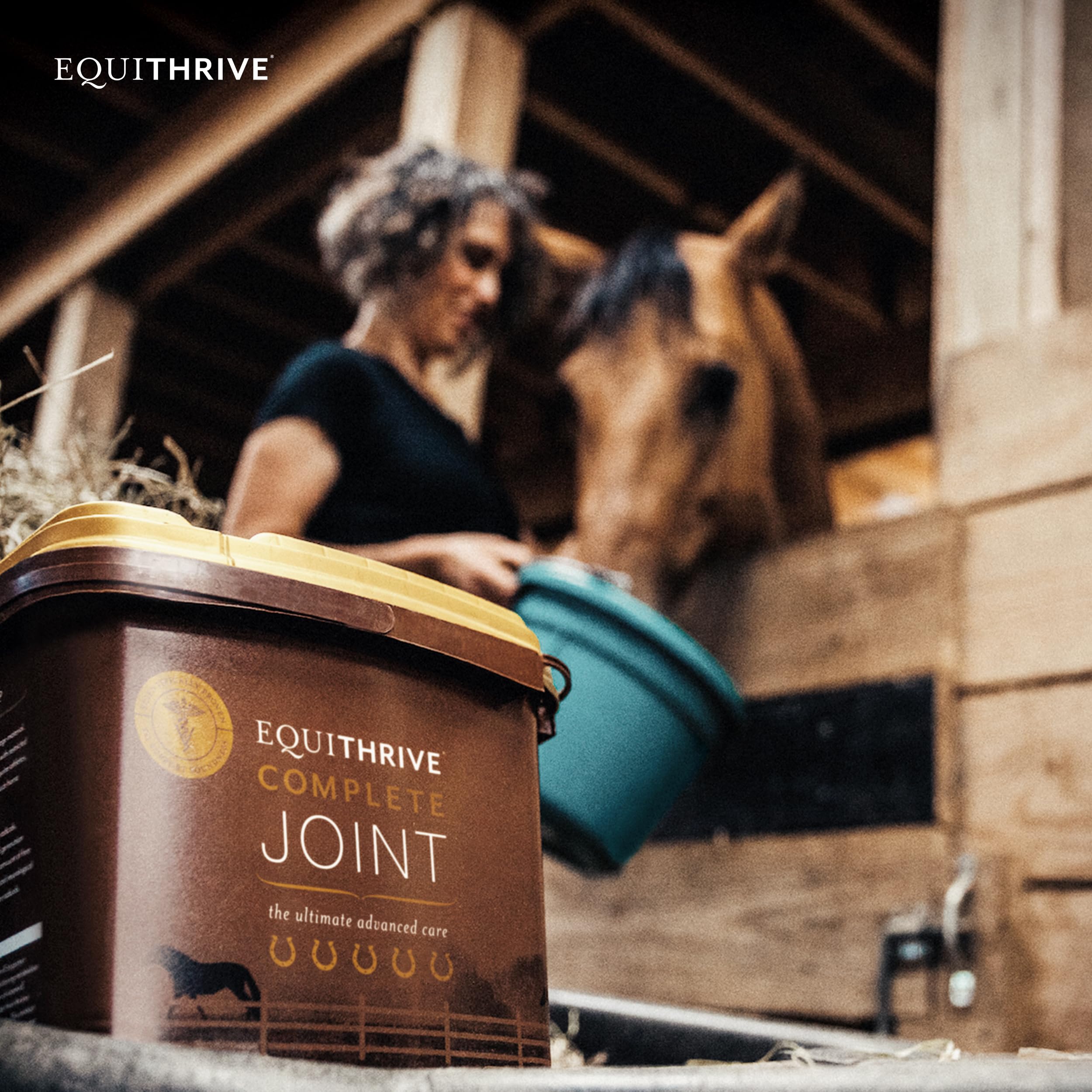 Cheval en entraînement utilisant Équithrive Complete pour le soutien articulaire.