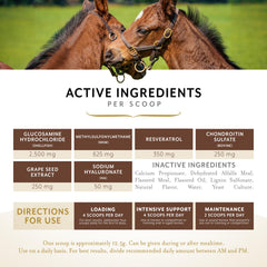 Équithrive Complete Granules – mobilité du cheval pendant l'entraînement.