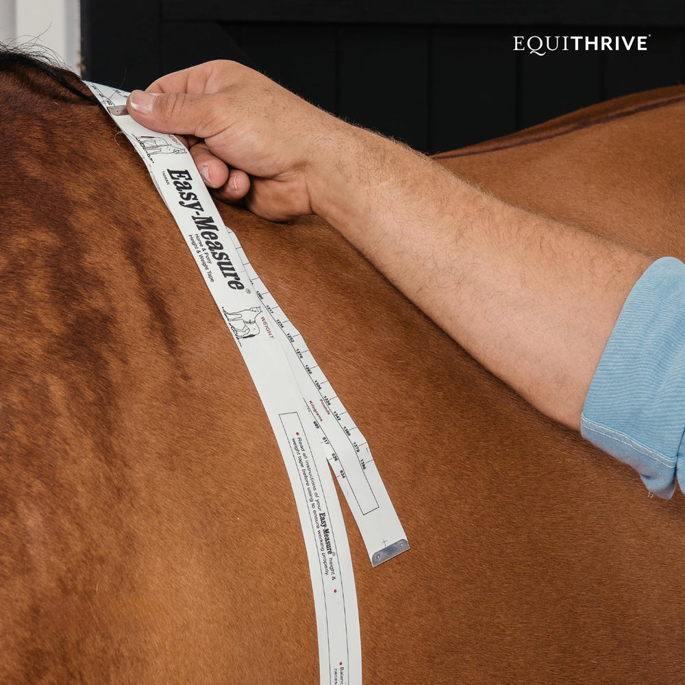 Équithrive Metabarol fabrique Lexington: produit de qualité fabriqué au Kentucky