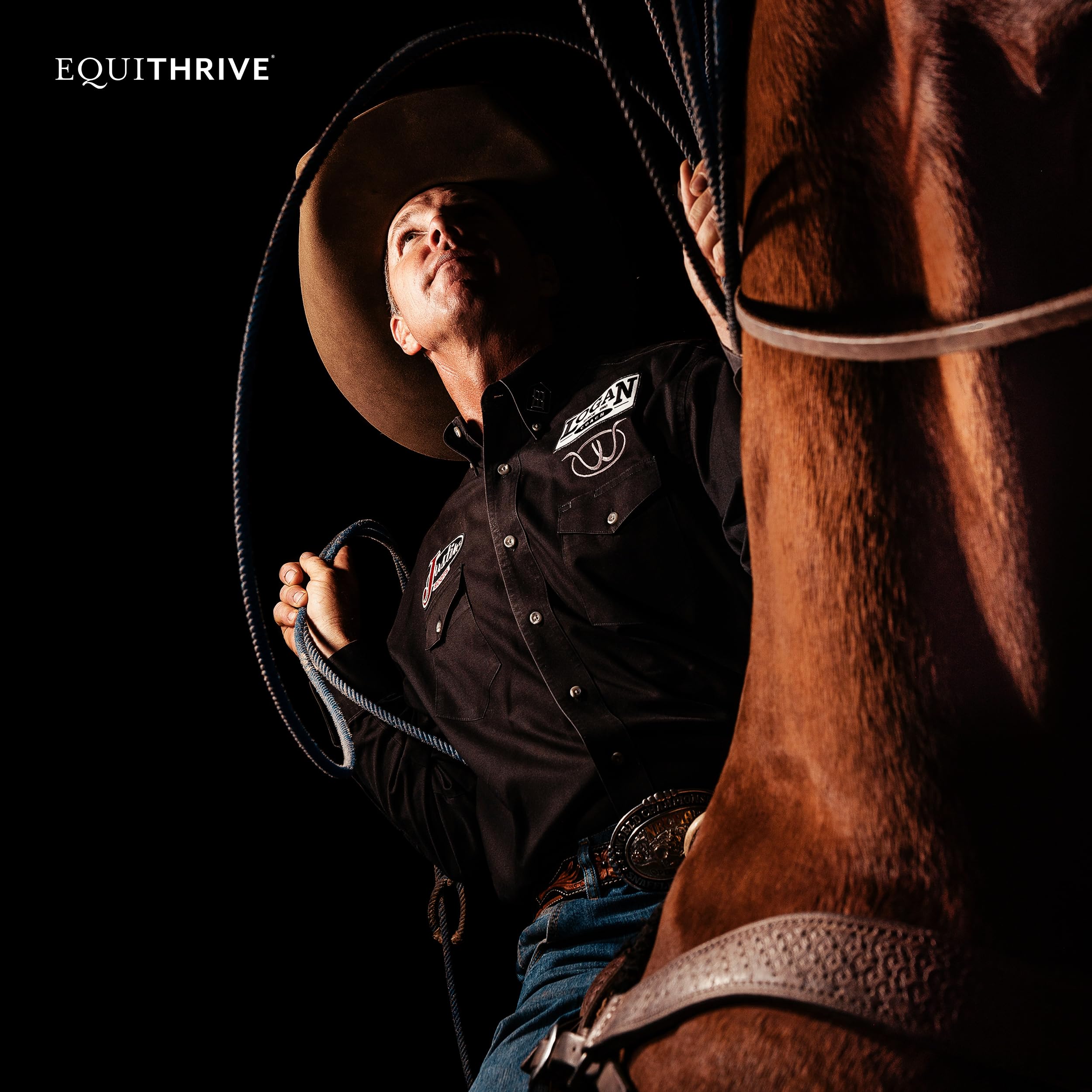 Equithrive Original Joint Poudre Compétition: compatible avec les événements pour chevaux.