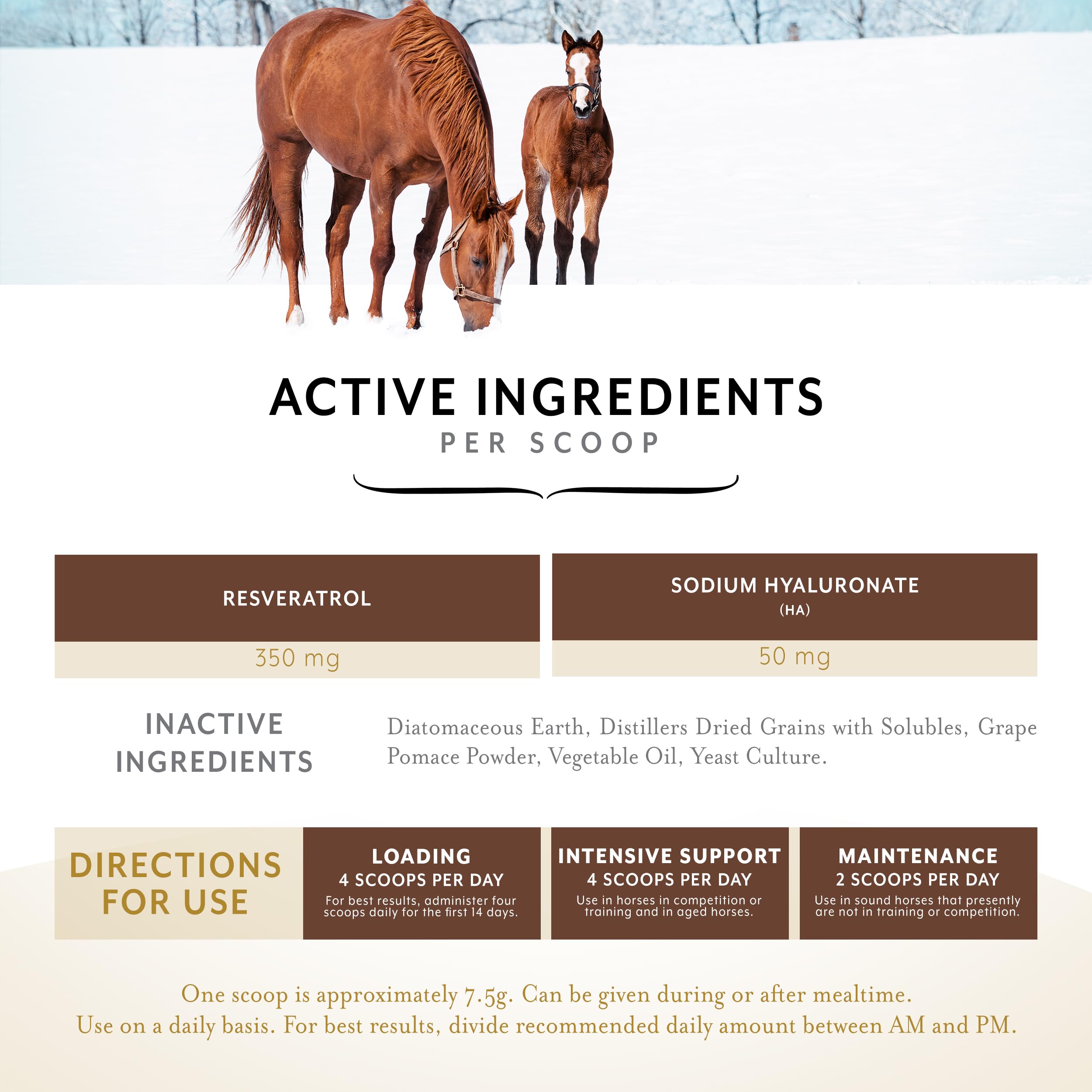 Equithrive Original Joint Poudre Doseur: dosage simple pour une routine quotidienne constante.