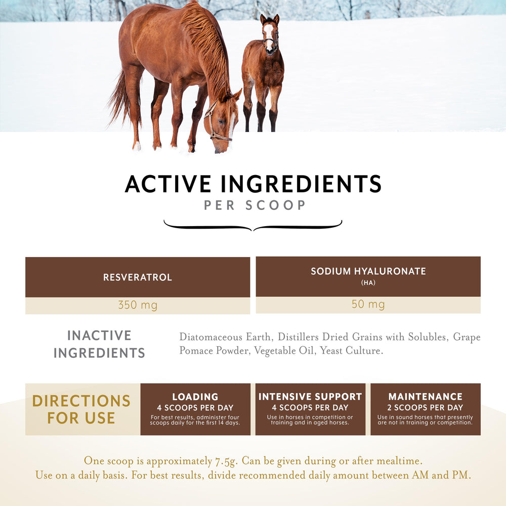 Equithrive Original Joint Poudre Doseur: dosage simple pour une routine quotidienne constante.