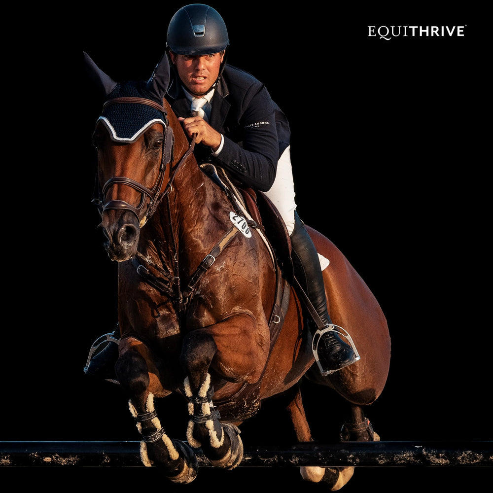 Equithrive Original Joint Poudre Etiquette: informations claires sur les composants et l’utilisation.