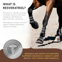 Equithrive Original Joint Poudre Flacon: emballage pratique pour le rangement et le transport.