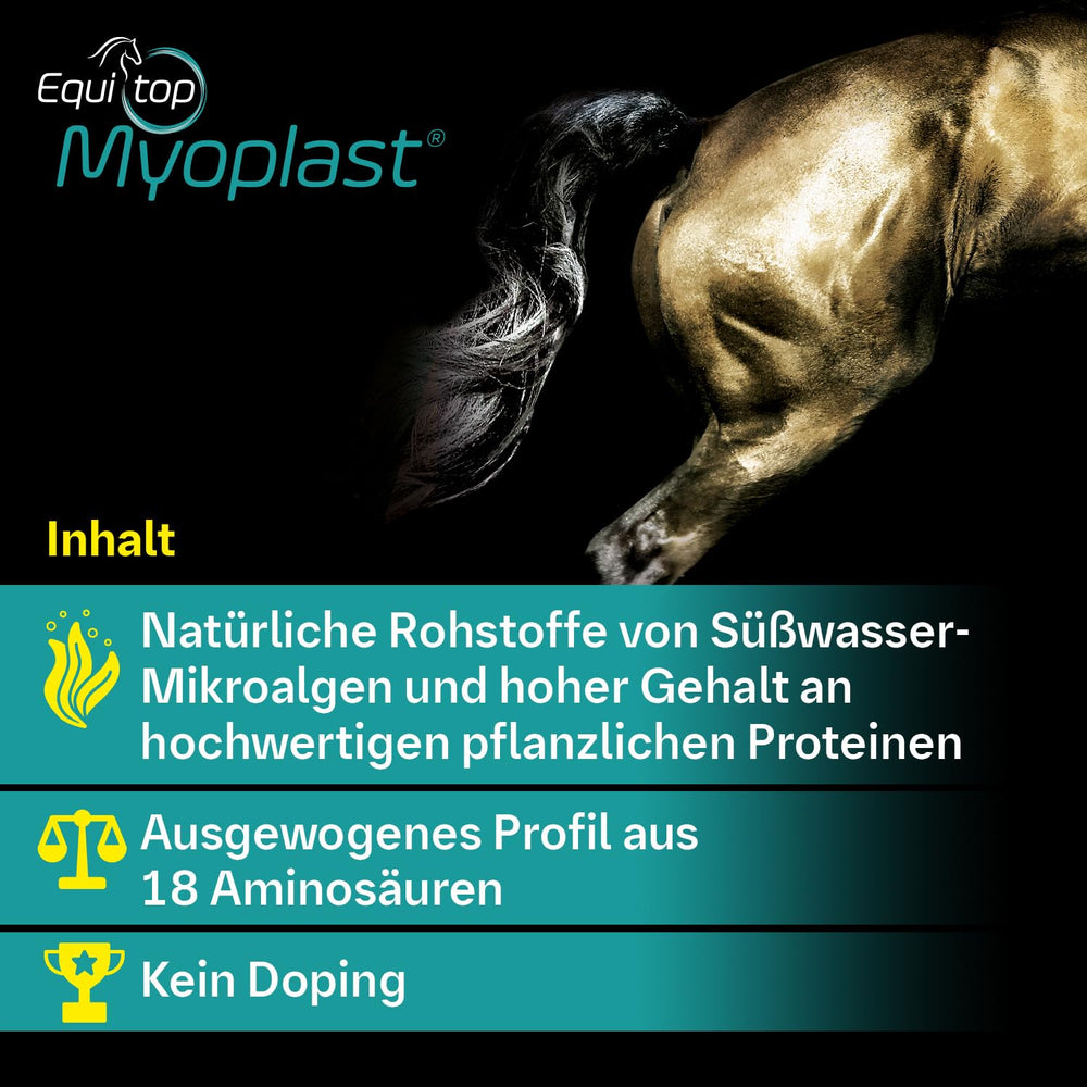 Equitop Myoplast acides aminés, complément utile pendant les périodes de travail.