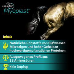 Equitop Myoplast acides aminés, complément utile pendant les périodes de travail.