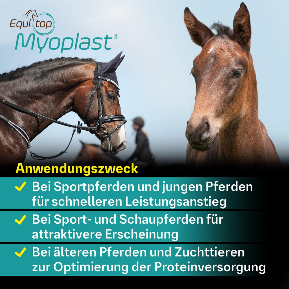 Equitop Myoplast champions utilisation, adopté par des cavaliers de haut niveau.