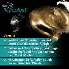 Equitop Myoplast cheval entraînement montrant l usage pendant l entraînement.