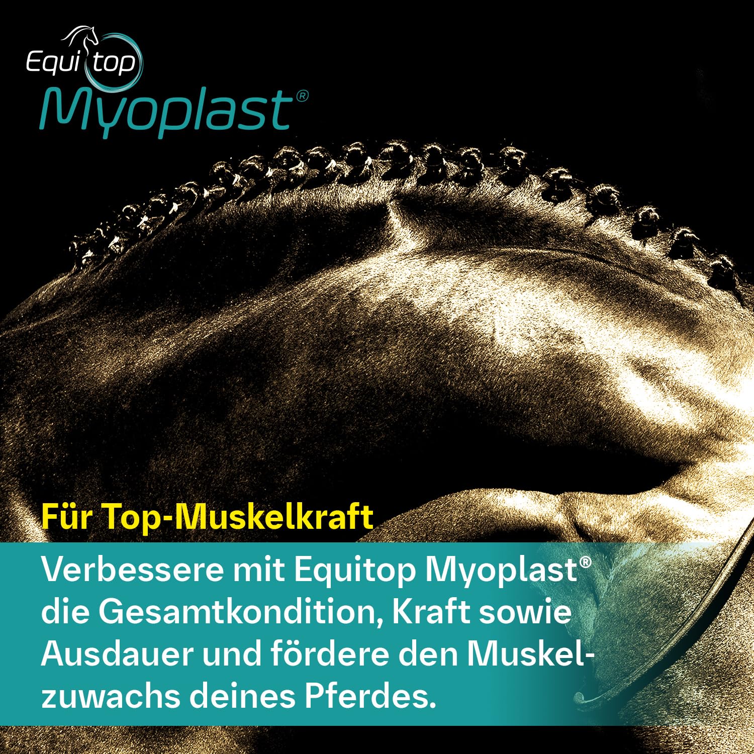 Equitop Myoplast doseur intégré facilitant le dosage précis.