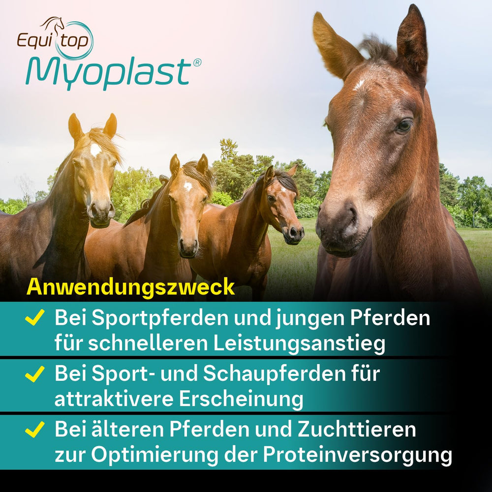 Equitop Myoplast formation musculaire, aide au développement musculaire du cheval.