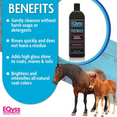 Eqyss Premier Shampoing équin – crinière et queue lumineuses et douces.
