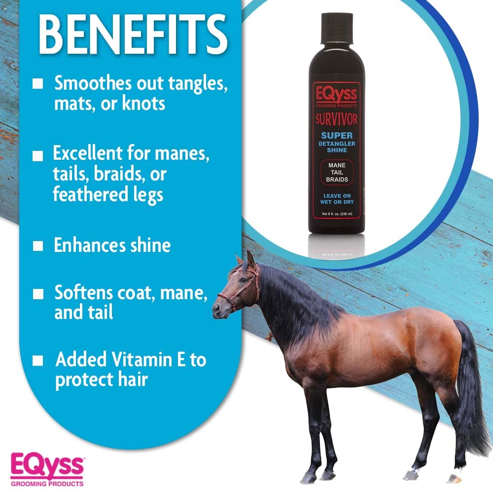 Eqyss Survivor poil brillant révèle un pelage plus doux et éclatant