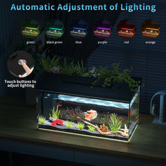 ERAARK aquarium betta plantes artificielles et déco naturelle.