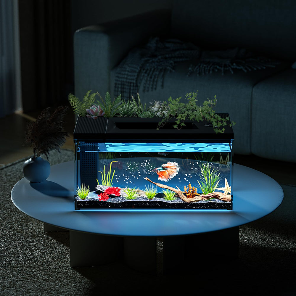 ERAARK aquarium betta en verre clair, design élégant.