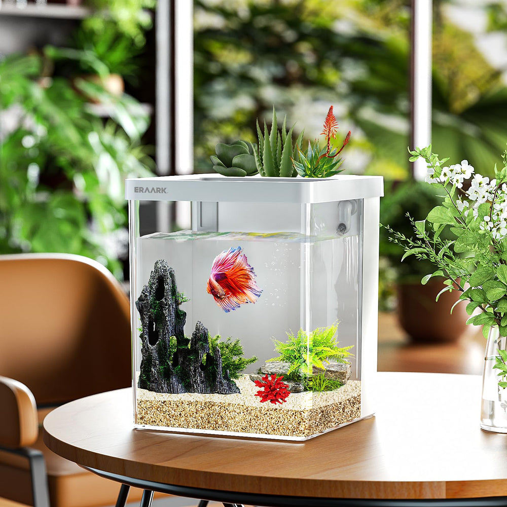 ERAARK système de filtration mécanique améliorant la qualité de l’eau.
