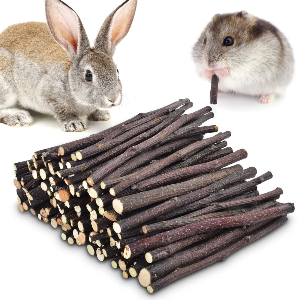 ERKOON Bâtons Pomme Naturels 300g pour le grignage des petits animaux.