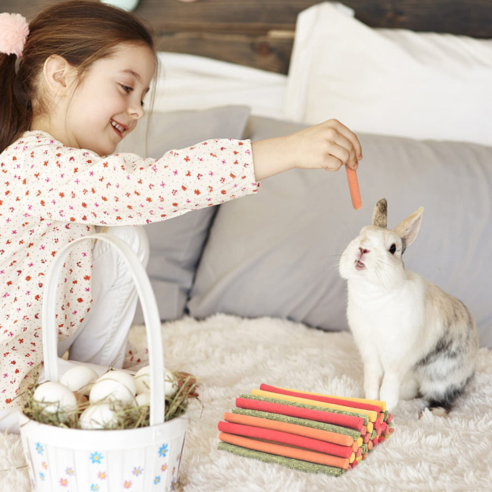 ERKOON bâtonnets carotte : texture adaptée pour mâcher et occuper votre animal.