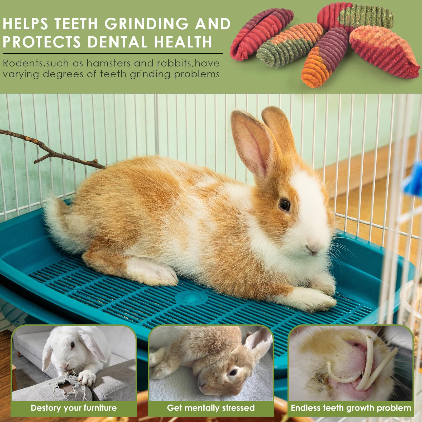 Friandises ERKOON pour chinchilla fibre élevée soutient la dentition.