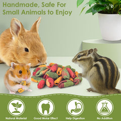 Friandises ERKOON pour chinchilla coloris attractifs éveillant l’intérêt du petit animal.